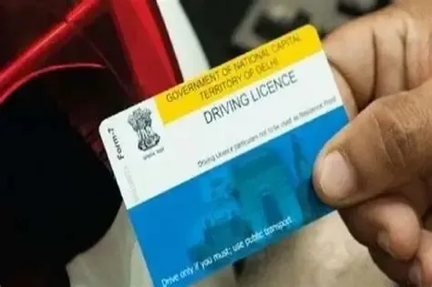 License Success: Driver's License Test Practice